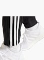adidas Jogginghose Schwarz 24835 4
