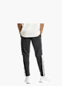 adidas Jogginghose Schwarz 24835 5