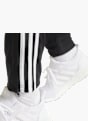 adidas Jogginghose Schwarz 24835 7