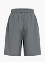 Nike Shorts Grau 22179 2