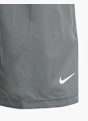 Nike Short Gris 22179 3