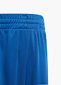 hummel Shorts Blau 11678 3