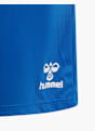 hummel Shorts Blau 11678 4