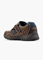 Memphis One Scarpa bassa Marrone 14562 3