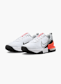 Nike Tréningová obuv Sivá 39221 3