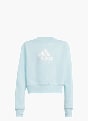 adidas Sweatshirt Mint 39859 1