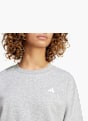 adidas Sweatshirt Grau 42197 3