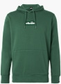 ellesse Hoodie Dunkelgrün 44132 1