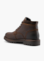 AM SHOE Botki sznurowane Brązowy 48536 3