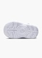 Nike Sapatilha Ouro 49698 4