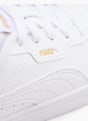 PUMA Sneaker Alb 54700 5