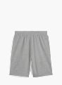 PUMA Shorts Grau 57263 2