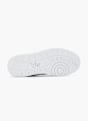 Vty Tenisice Zelena 58042 4