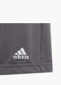 adidas Shorts Grau 58590 4