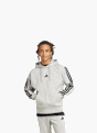 adidas Hoodie Grau 59506 2