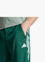 adidas Shorts Dunkelgrün 59606 2
