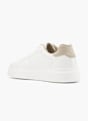 AM SHOE Sneaker Beige 61808 3