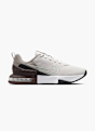 Nike Tréningová obuv Sivá 63262 1