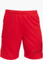 Nike Shorts Rot 63303 1