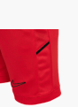 Nike Shorts Rot 63303 3