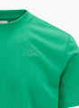 Kappa T-Shirt Grün 63333 3