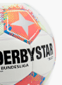 Derbystar Ball Weiß 74550 2