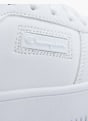 Champion Sapatilha Branco 77335 5