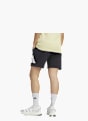 adidas Shorts Schwarz 78406 2