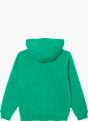 Nike Sweat à capuche Vert 79274 2