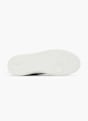 Vty Tenisice Kaki 79456 4