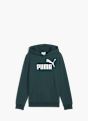 PUMA Hoodie Dunkelgrün 79821 1