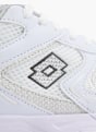 Lotto Baskets Blanc 80606 5