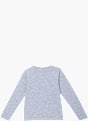 Lilo & Stitch Sweatshirt Grau 80840 2