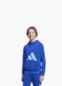 adidas Hoodie Blau 81060 2