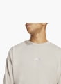 adidas Sweat Blanc cassé 81166 4