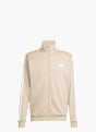 adidas Trainingsanzug Beige 81190 1
