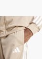 adidas Trainingsanzug Beige 81190 6