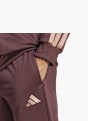 adidas Trainingsanzug Braun 81191 6