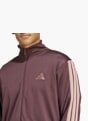 adidas Survêtement Marron 81191 7