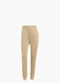 adidas Trainingsanzug Beige 81378 3
