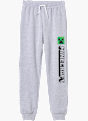 Minecraft Pantalon de survêtement Gris 98689 1