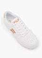 FILA Sneaker Oro 103742 2