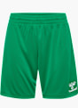 hummel Short Vert 112434 1