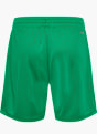 hummel Short Vert 112434 2