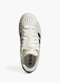 adidas Sapatilha Beige 114691 5