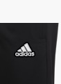 adidas Jogginghose Schwarz 115400 3