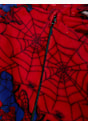 Spider-Man Set Rot 118909 3