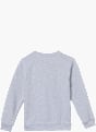 PAW Patrol Sweatshirt Grau 118916 2