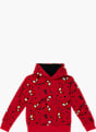 Spider-Man Hoodie Rot 118923 1