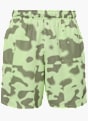 Nike Shorts Grün 120103 1